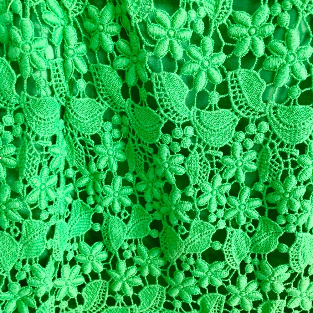 Host EditorPick Laundry/Shelli Segal Crochet Dress - Picture 2 of 4